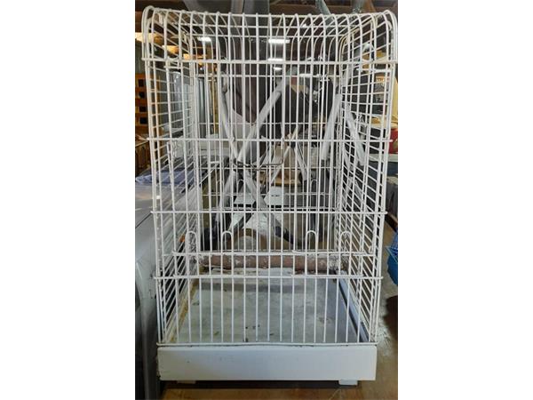 ~/upload/Lots/51554/nlpvvvzzjvyze/Lot 073 Parrot Cage (1)_t600x450.jpg